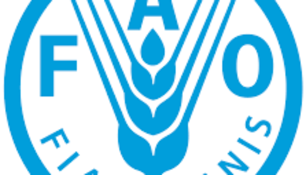 Administrative Assistant (Protocol) Vacancy Job Ref: VACFAO4477-35