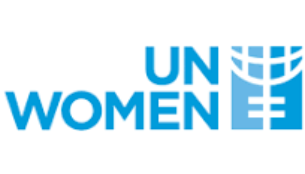 Programme Manager Strategic Partnership Framework (SPF)Vacancy Job Ref: VACUNWOMEN4477-20